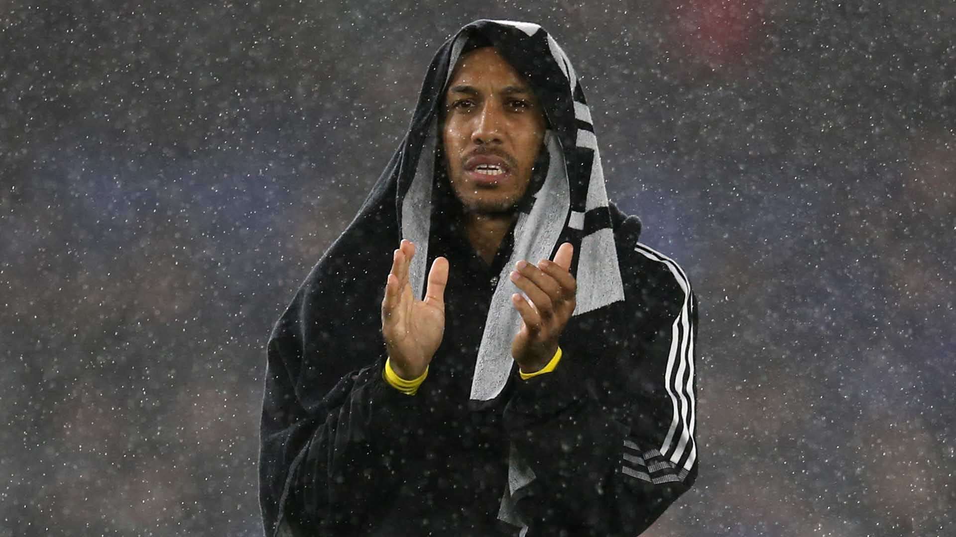 子都能够得 子都能够得