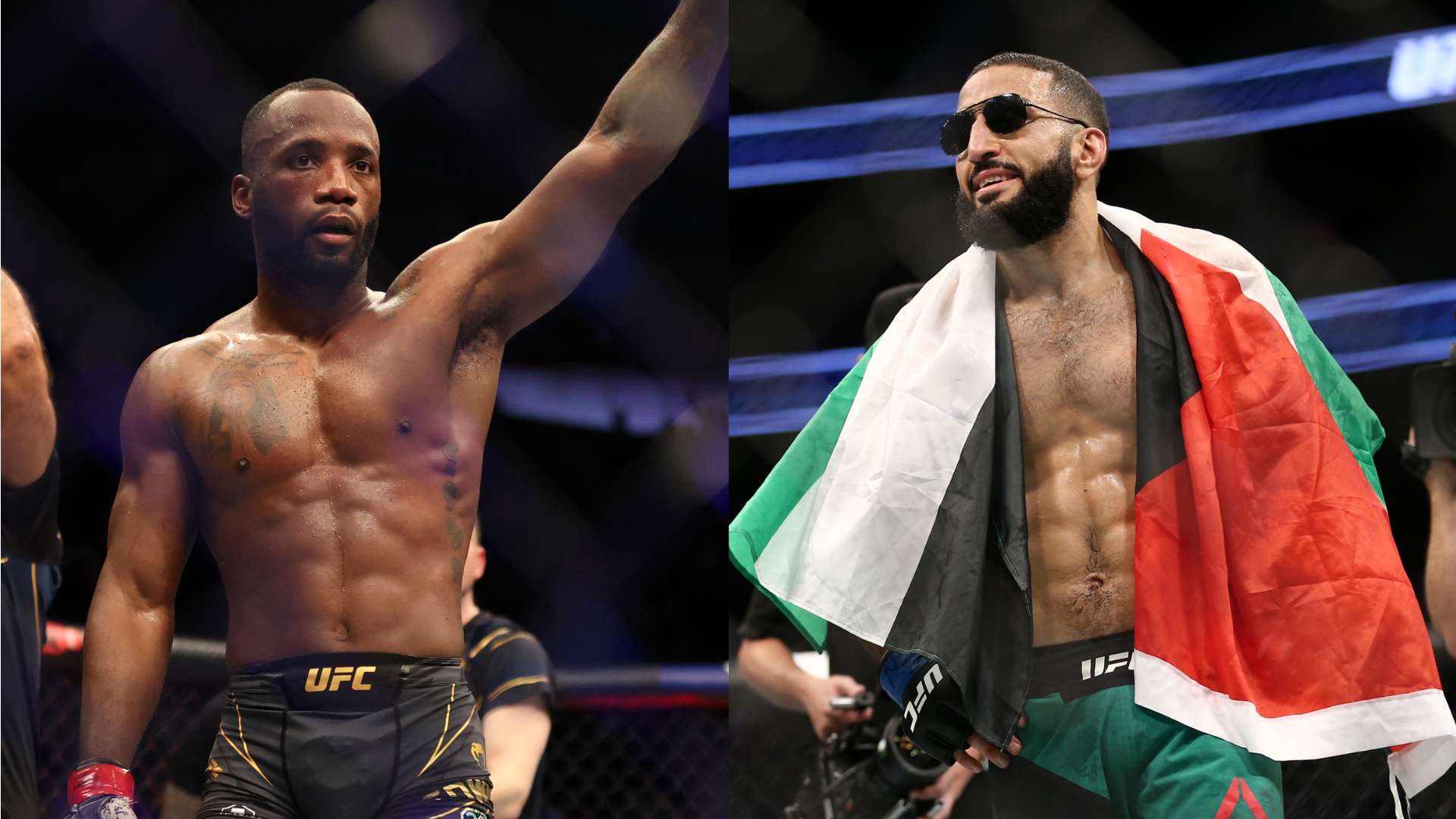 详细的探讨 详细的探讨