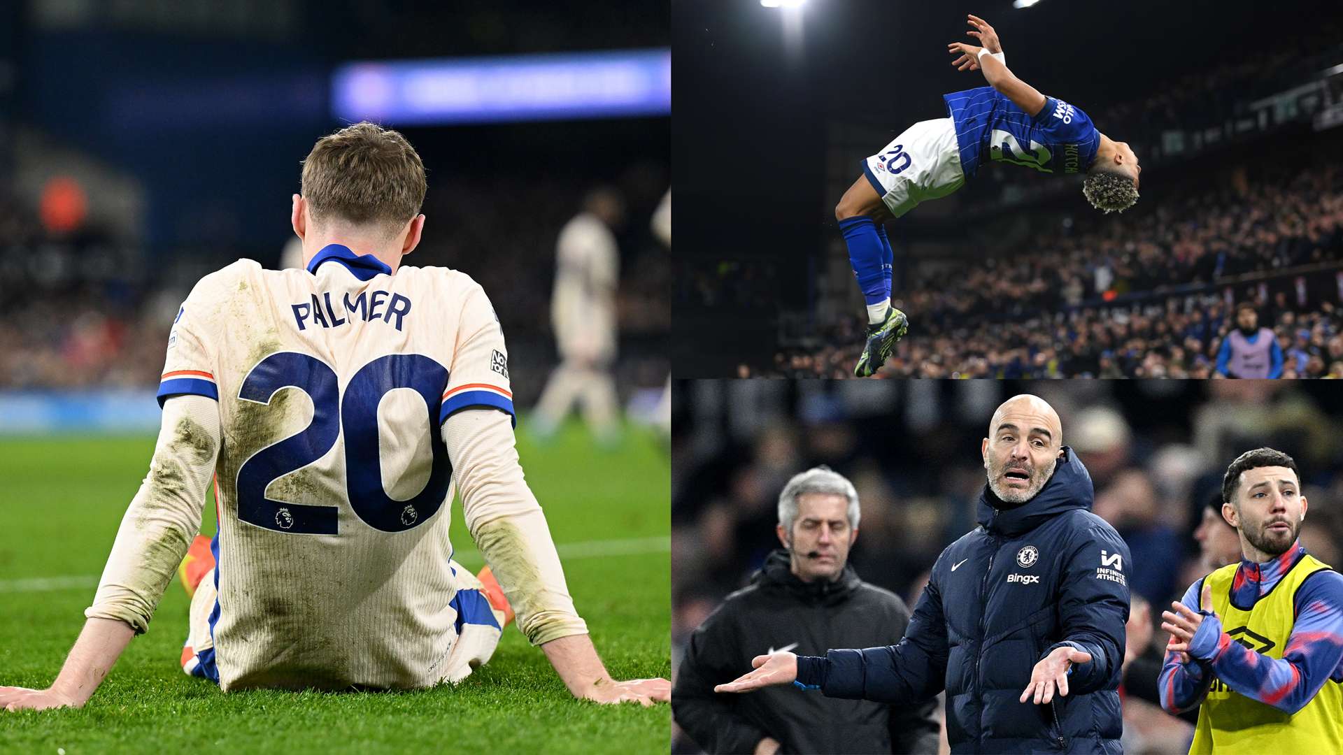 罗兰分享了 罗兰分享了